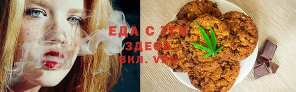 индика Ленск
