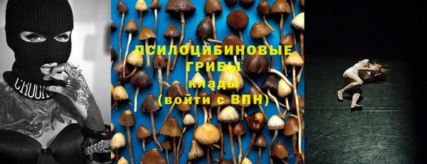 МДПВ Верея