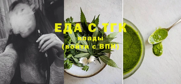 индика Ленск