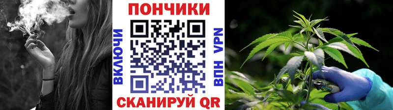 нарко площадка состав  Павловская  Шишки марихуана тримм 